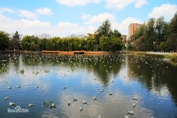 北京翠湖濕地公園水質提升項目